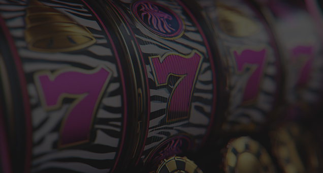 Zebra Wins Casino